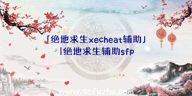 「绝地求生xecheat辅助」|绝地求生辅助sfp